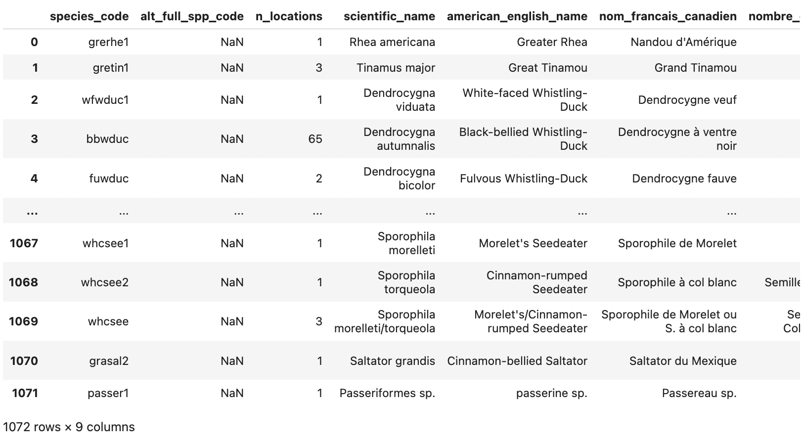 Feederwatch analysis