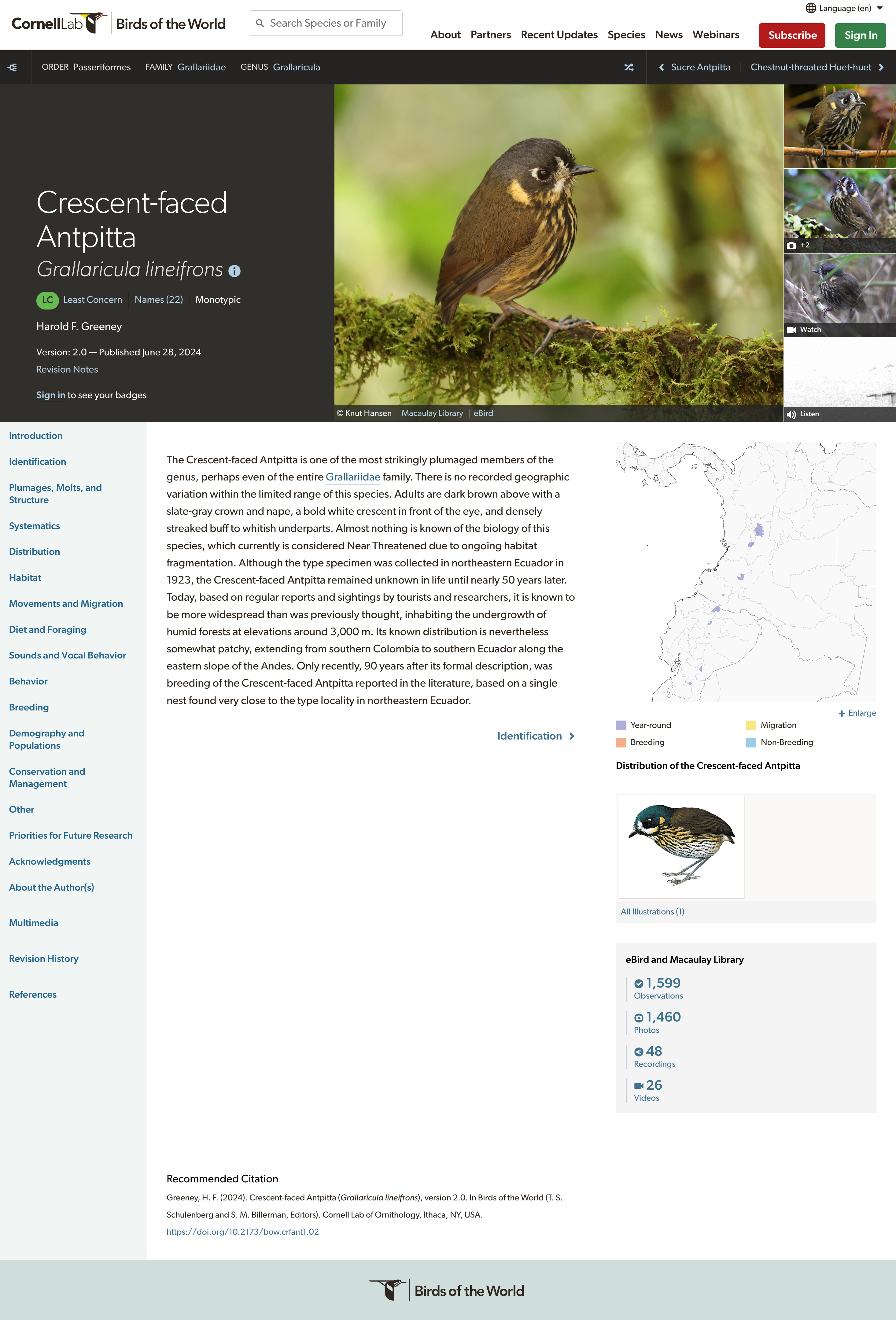 Birds of the world