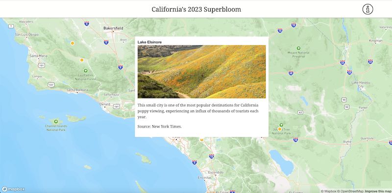 Superbloom project