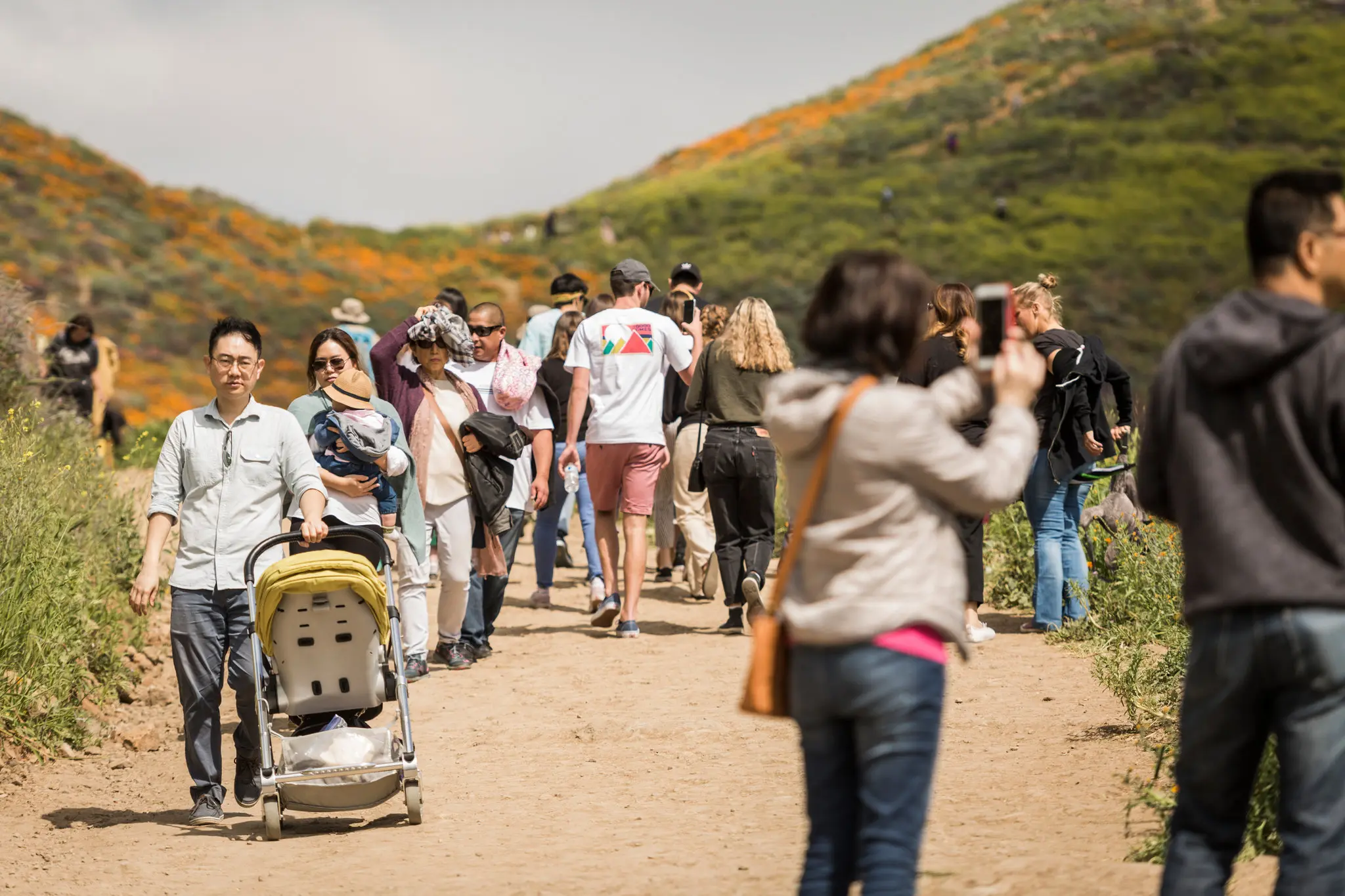 superbloom