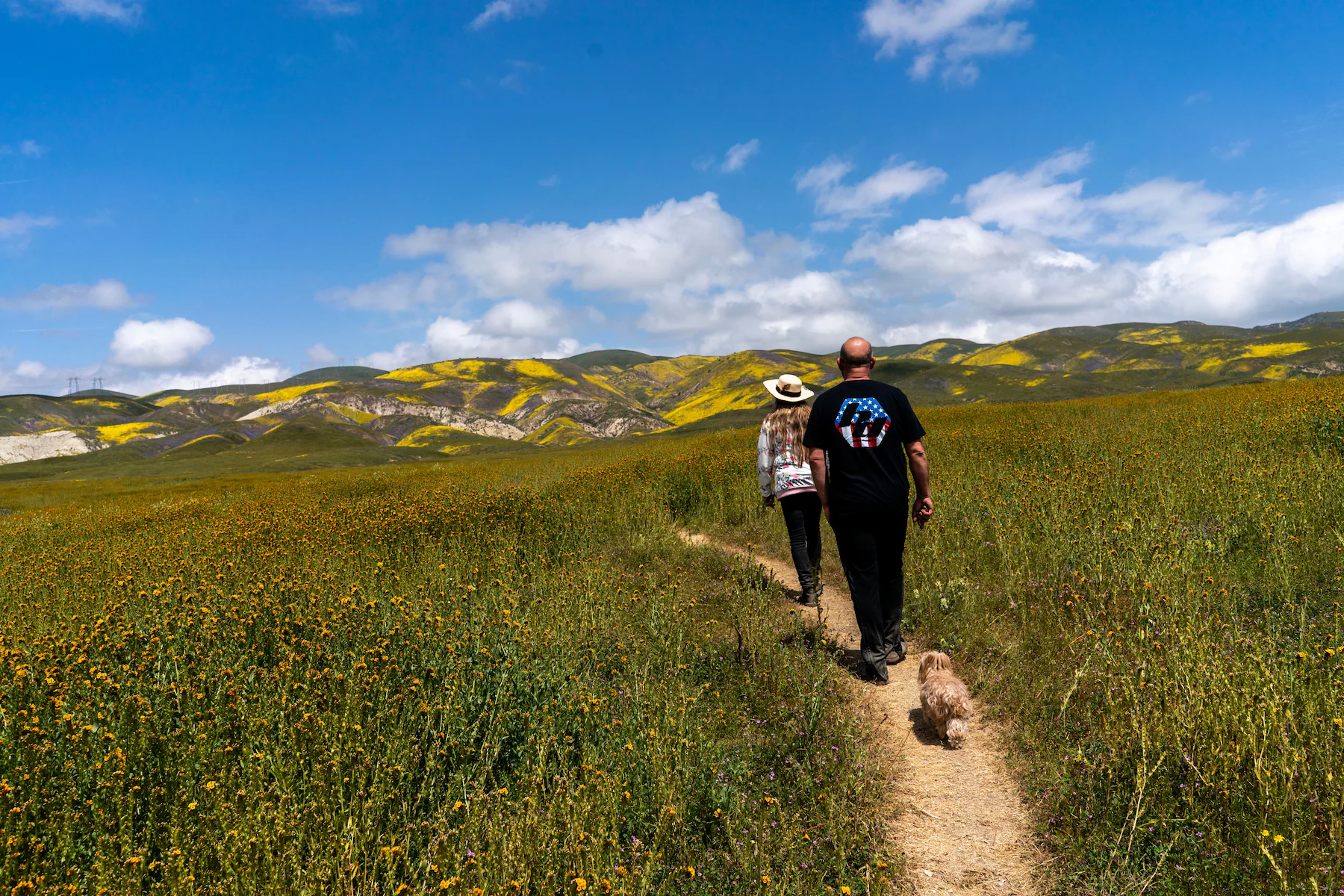 superbloom