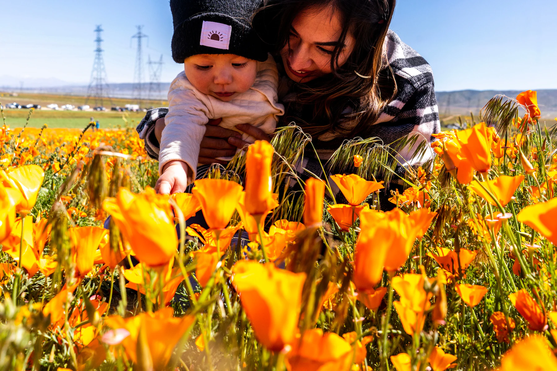 superbloom